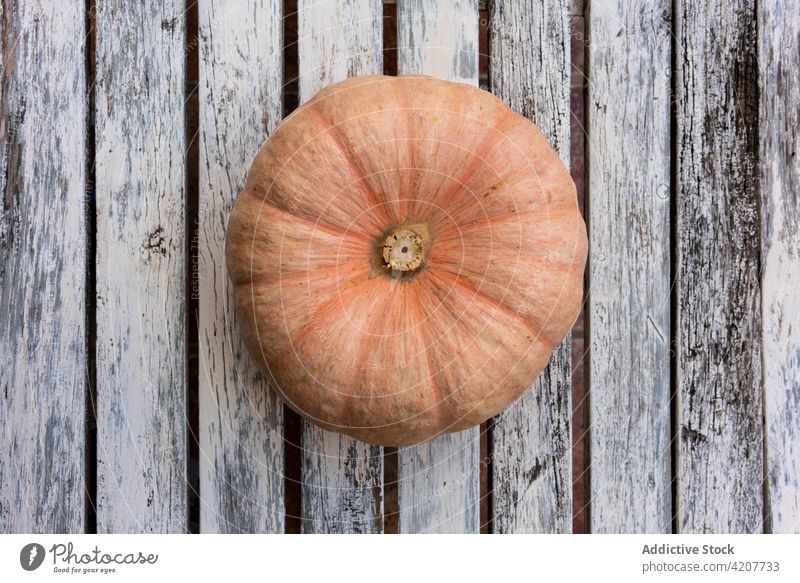 Reifer Kürbis auf Holztisch Gemüse hölzern Tisch Ernte Squash organisch rustikal natürlich Landschaft Lebensmittel roh Bestandteil Gesundheit Bauernhof Vitamin