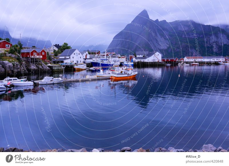 Lofoten Landschaft Natur Wasser schlechtes Wetter Nebel Berge u. Gebirge Fjord Norwegen Fischerdorf Hafen Sehenswürdigkeit Ferien & Urlaub & Reisen