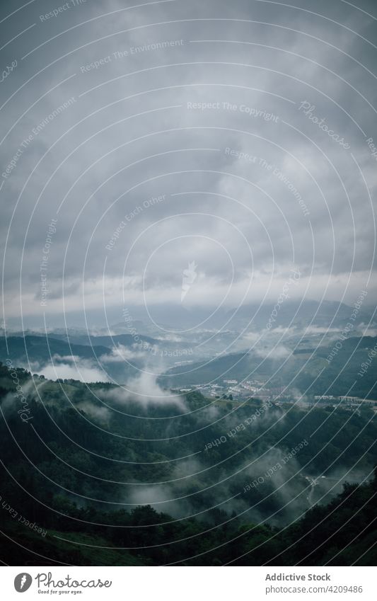 Wald im Gebirge mit Nebel unter düsterem Himmel Berge u. Gebirge wolkig Hochland Natur Landschaft Umwelt trist Reittier majestätisch Berghang wellig Kamm