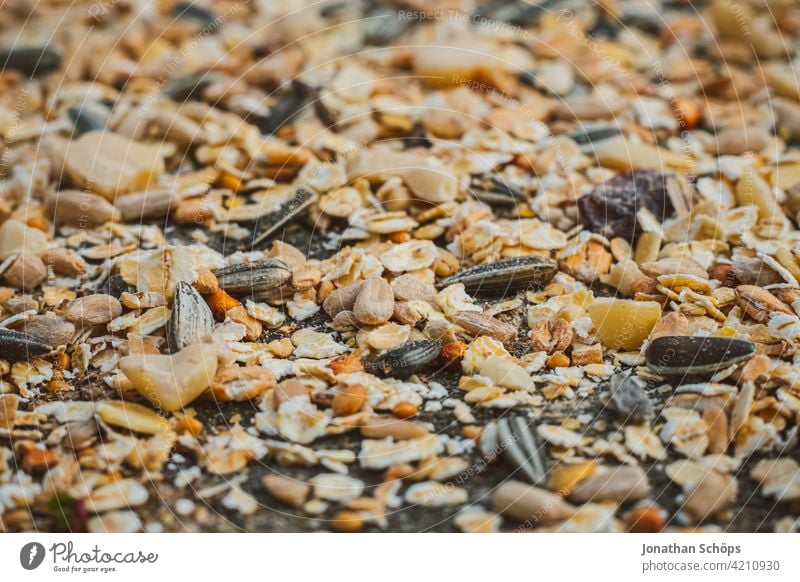 Vogelfutter für den Winter Herbst Wald Garten Nahaufnahme Körner Futter Makro Natur Außenaufnahme Farbfoto Tag Menschenleer füttern Futterplatz Samenmischung