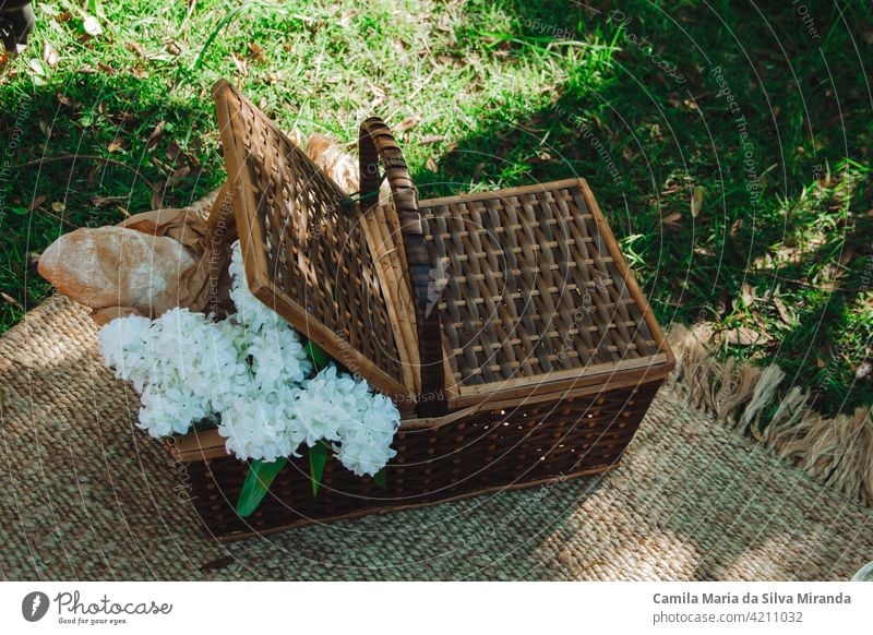 Picknickkorb mit Blumen und Broten Hintergrund Korb Blumenstrauß Camping Nahaufnahme Textfreiraum Landschaft Lebensmittel grün Freizeit natürlich Natur niemand