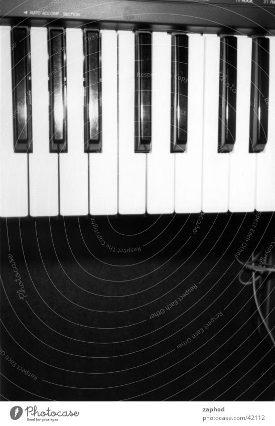 Keys Licht Dinge Musikinstrument