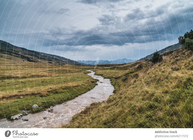 Schmaler Bach, der durch ein grasbewachsenes Feld fließt Gras Natur Umwelt Wiese frisch Wasser ruhig Rasen Kumulus Himmel grün endlos Cloud Harmonie Hügel