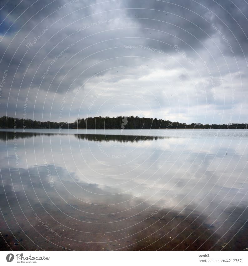 Eiland Panorama (Aussicht) Reflexion & Spiegelung Landschaft Natur Wasseroberfläche Freiheit Ferne glänzend Totale Textfreiraum unten Textfreiraum oben Idylle