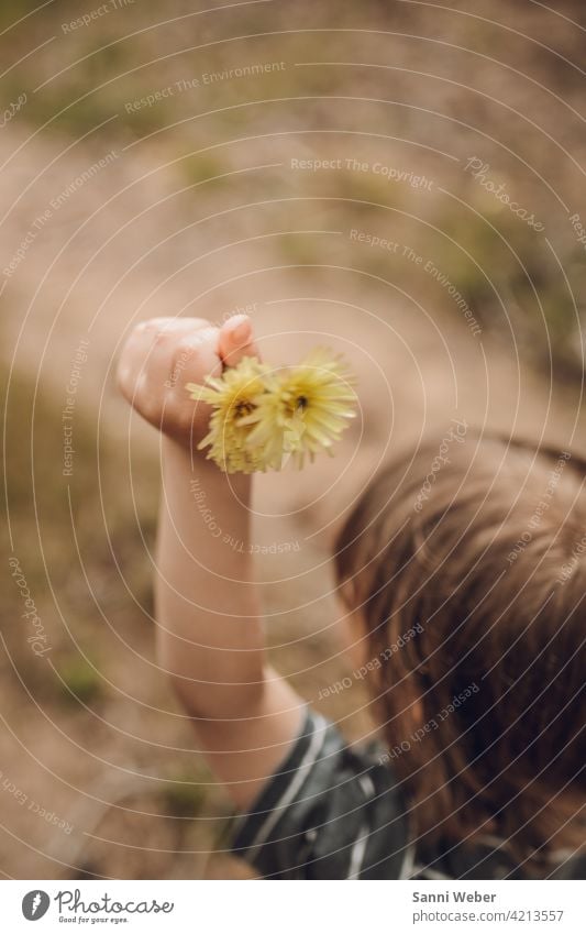 Kind mit Blumen in der Hand Natur Pflanze Blüte Garten Farbfoto schön Blühend Außenaufnahme gelb Umwelt Hand erhoben Arme