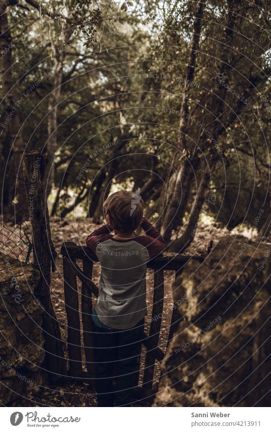 Kind am Zaun im Wald Mensch Außenaufnahme Farbfoto Natur Kindheit Tag Baum Junge Umwelt Spielen