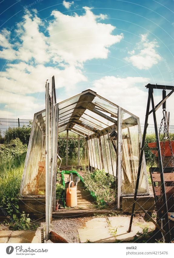 Alles offen Garten Gartenarbeit Gewächshaus Außenaufnahme Farbfoto Frühling Landschaft Freizeit & Hobby Totale Sonnenlicht Tag Textfreiraum oben