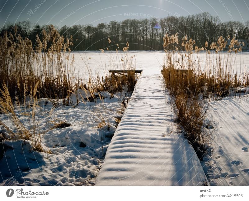 Zugedeckt Steg Panorama (Aussicht) Sonnenlicht Kontrast Gegenlicht Textfreiraum oben Schatten Außenaufnahme Licht Farbfoto Tag Menschenleer rein Bernsdorfer See