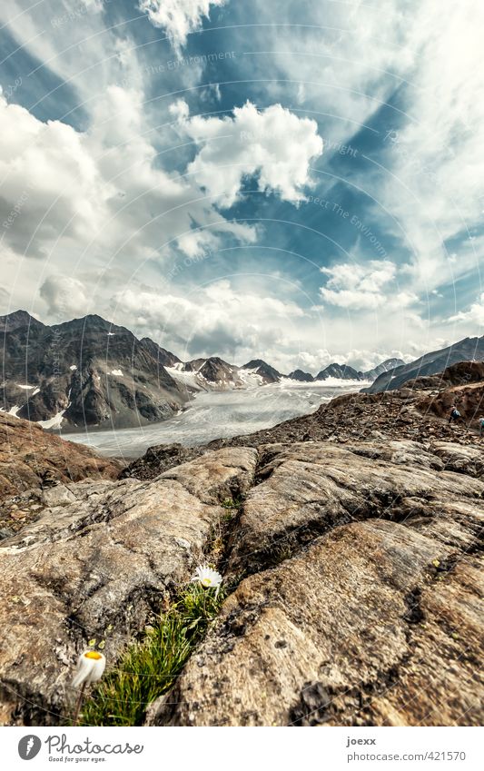 Was ist schon ewig. Natur Landschaft Himmel Wolken Horizont Herbst Klimawandel Schönes Wetter Eis Frost Blume Alpen Berge u. Gebirge Gletscher Stein alt