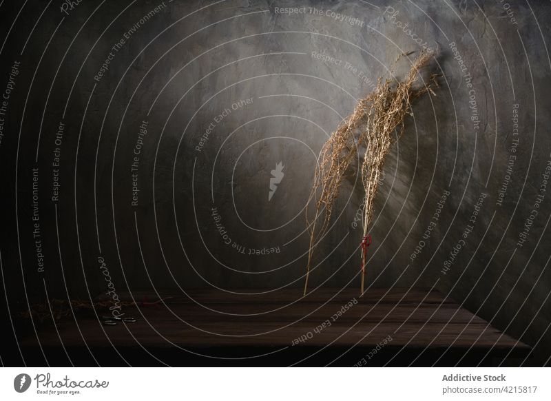 Getrocknete Zweige auf Holztisch in dunklem Raum getrocknet Pflanze Sonnenlicht Schatten trocknen natürlich dunkel Tisch Dekor hölzern Flora organisch Vorbau