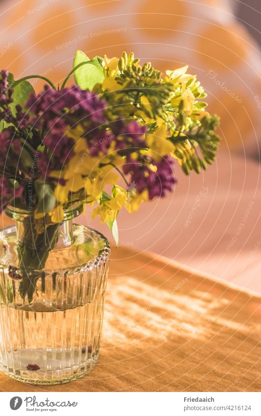 Detailaufnahme einer Glasvase mit gelber und lila Blüte und unscharfem Hintergrund Blumenvase Dekoration & Verzierung Schwache Tiefenschärfe