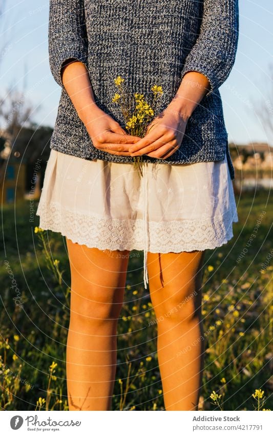 Erntefrau mit zarten gelben Blumen auf dem Feld Frau Frühling Sonnenuntergang Haufen Wildblume Wiese Angebot Blütezeit Natur Landschaft natürlich Saison frisch