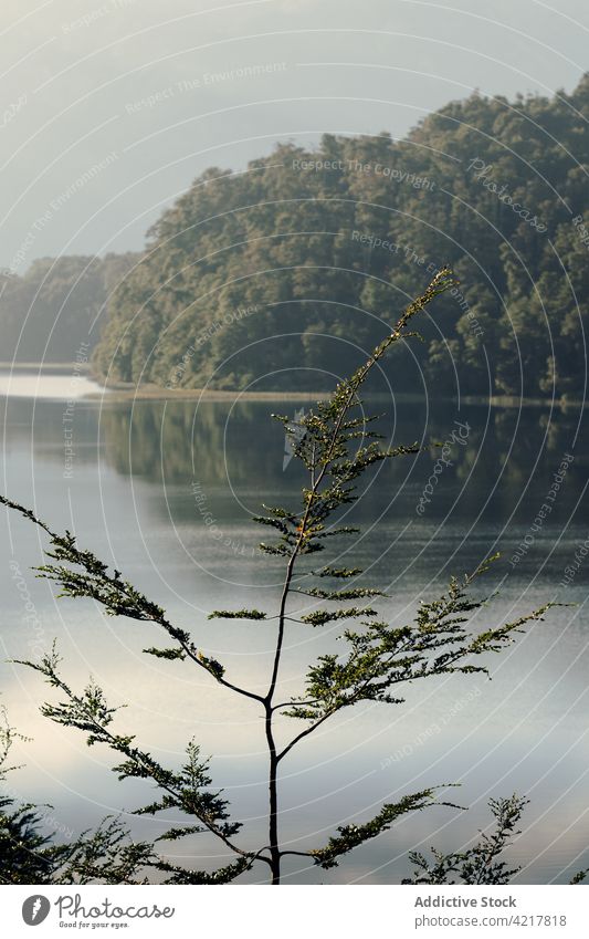 Wunderschöne Aussicht auf die Berge vor dem See Berge u. Gebirge Ambitus Landschaft Teich Wald Hochland Kamm Natur Windstille malerisch atemberaubend Rippeln