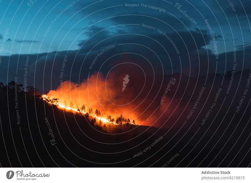 Vom Brandrauch bedeckter Bergwald Feuer Notfall Gefahr Lauffeuer Flamme Klimawandel vernichten Entwaldung Erhaltung Rauch globale Erwärmung Baum wild Natur