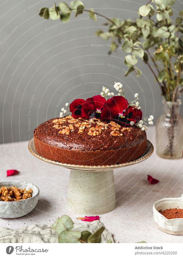 Süßer Kuchen mit Nüssen und Blumen auf Ständer auf Tisch Schokolade Biskuit gebacken Dessert süß Gebäck Nut dienen lecker stehen Feinschmecker Lebensmittel