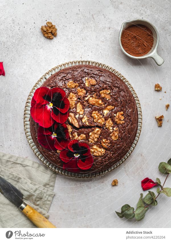 Torte mit Blumen und Walnüssen auf dem Tisch Kuchen Schokolade Walnussholz Dessert süß ganz Dekoration & Verzierung Garnierung Leckerbissen selbstgemacht