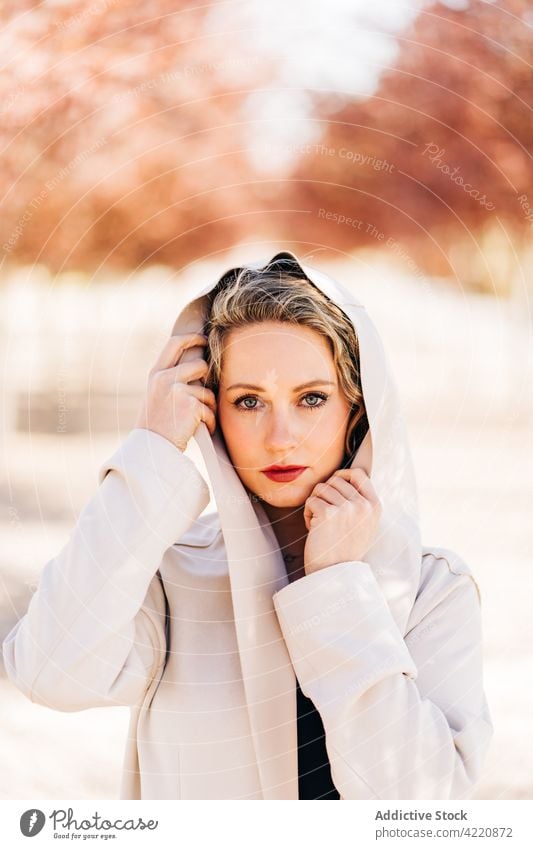 Stilvolle Frau geht entlang einer Allee im Park Gasse Spaziergang Kleid elegant Anmut Garten Baum Mantel charmant Natur trendy Weg sonnig Sonnenlicht Saison