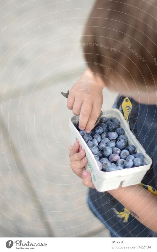 Blaubeeren Frucht Ernährung Essen Bioprodukte Vegetarische Ernährung Mensch Kind Kleinkind Kindheit 1-3 Jahre 3-8 Jahre frisch Gesundheit lecker saftig süß blau