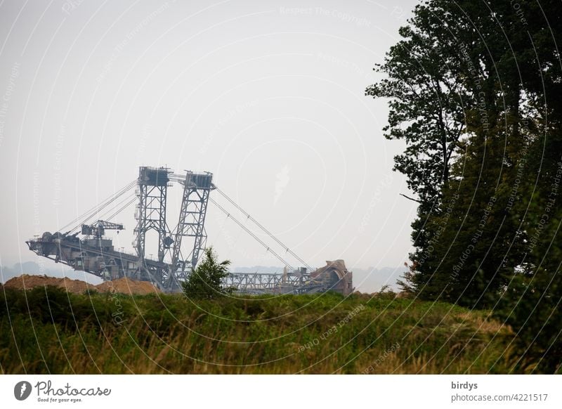 Braunkohlenbagger am Hambacher Forst. Der Schaufelradbagger gräbt sich bis 50 Meter an den Waldrand heran Tagebau Hambach Braunkohlentagebau Hambach Hambi