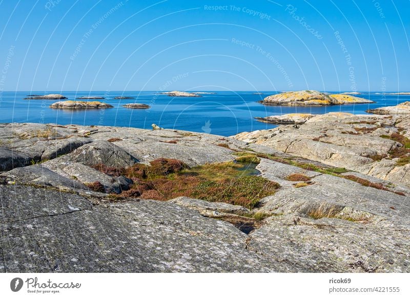 Felsen auf den Wetterinseln vor der Stadt Fjällbacka in Schweden Schären Schärengarten Meer Küste Nordsee Skagerrak Insel Schäreninsel Wasser Tourismus Himmel