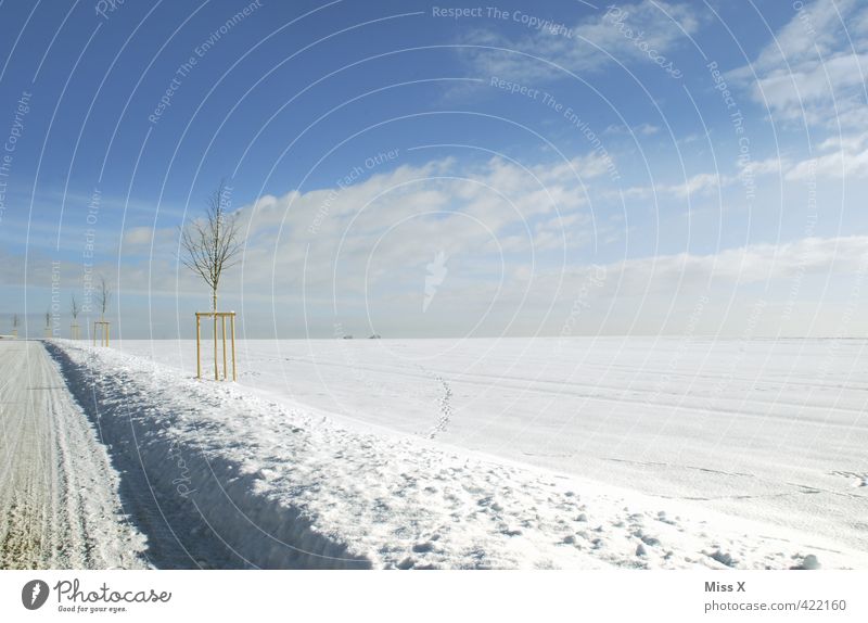 Wintertag Landschaft Himmel Klima Wetter Schönes Wetter Eis Frost Schnee Verkehr Verkehrswege Straße hell kalt weiß Winterdienst Verkehrssicherheit Schneewehe