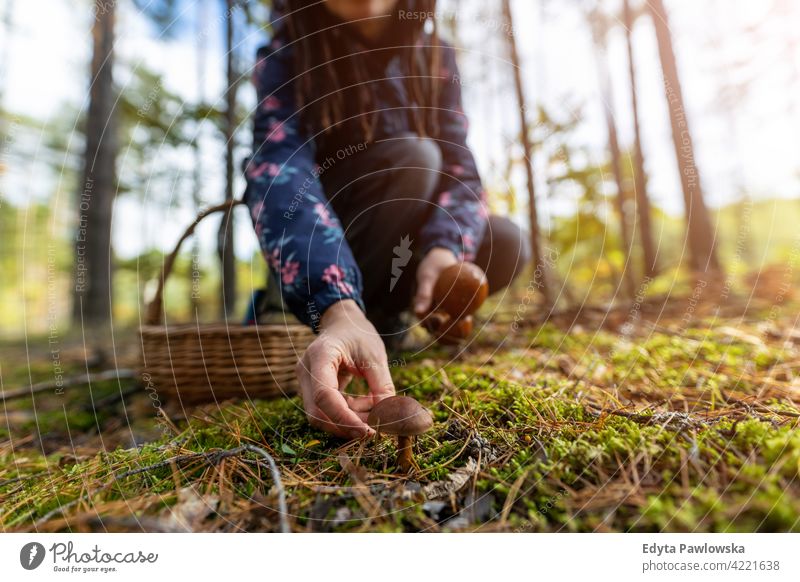 Frau beim Pilzesammeln im Wald Lebensmittel frisch Gesundheit Pflanzen Bäume Polen Tag im Freien tagsüber Natur Herbst fallen wild grün Wildnis