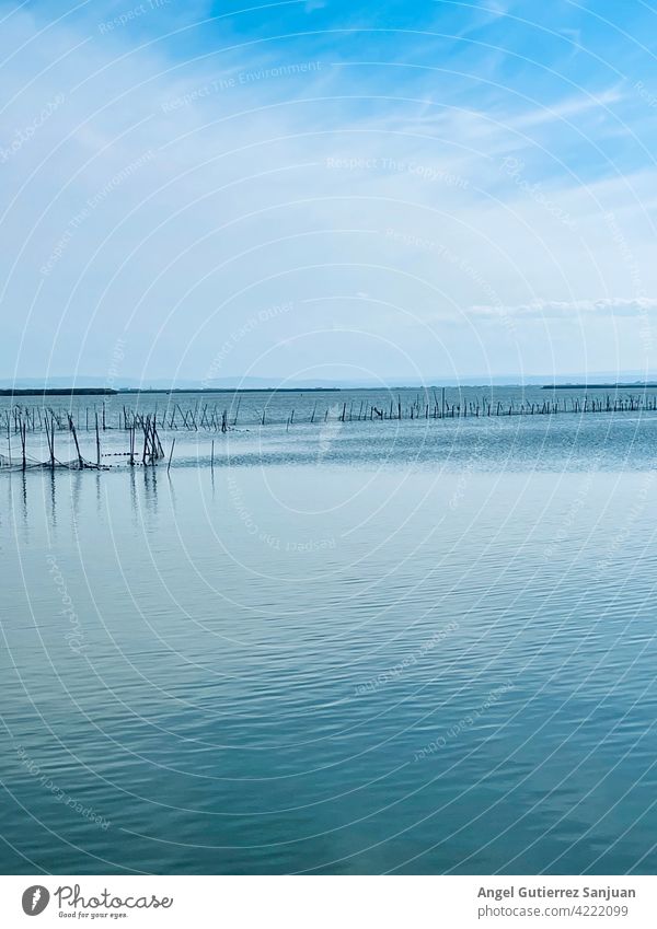 Horizont mit Himmel und Meer mit blauem Farbverlauf MEER Wellen Ostsee Natur Wasser Strand Sommer Küste Ferien & Urlaub & Reisen Erholung Sommerurlaub