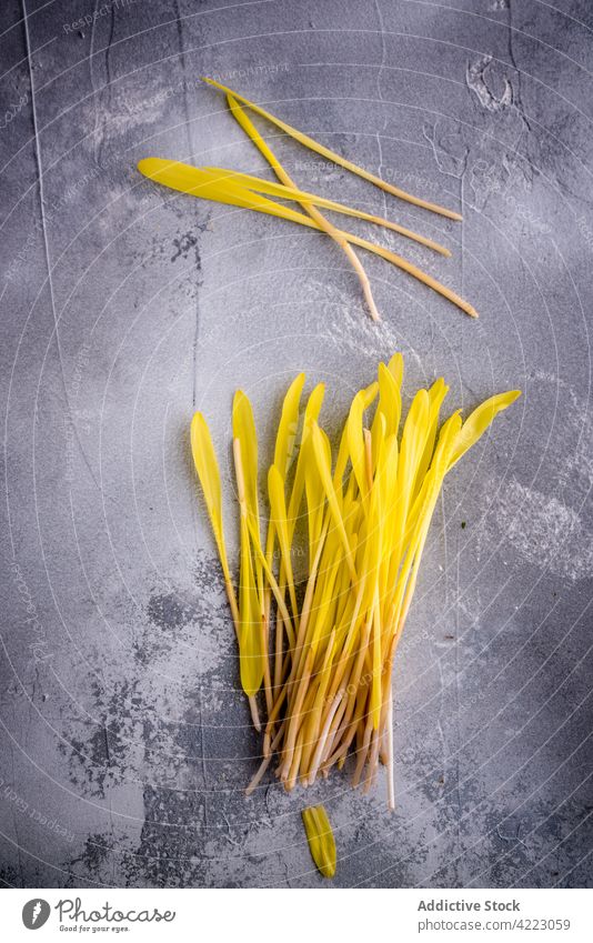 Zarte Blütenblätter auf rauer grauer Oberfläche Blütenblatt geblümt Blütezeit natürlich filigran Botanik organisch Wittern sanft Haufen aromatisch frisch