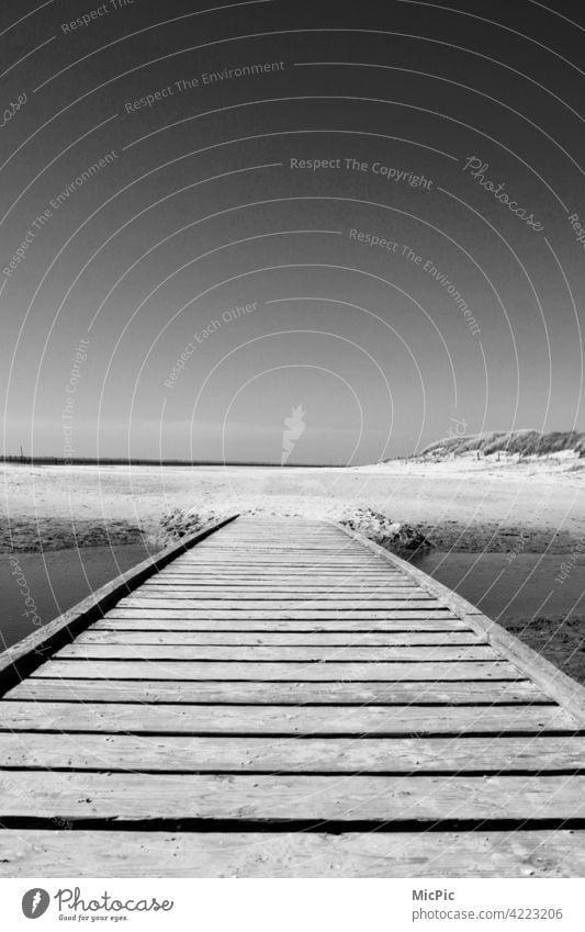 Long Way Brücke zum Strand Schwarzweißfoto holzweg holzbrücke steg strand sand meer Wandern gehen Natur Landschaft Wege & Pfade Außenaufnahme Menschenleer