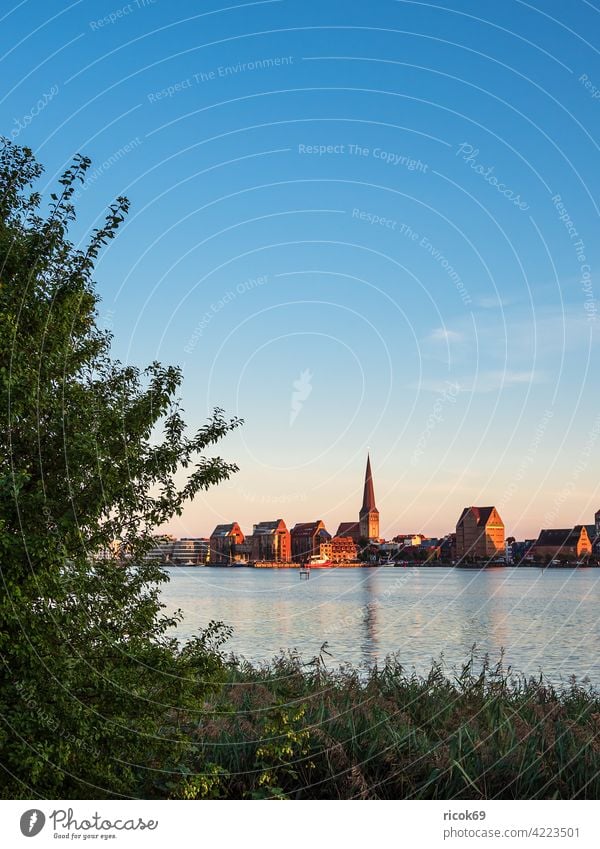 Blick über die Warnow auf die Hansestadt Rostock Fluss Stadthafen Mecklenburg-Vorpommern Schilf Baum Tourismus Architektur Häuser Gebäude Wahrzeichen Kirche