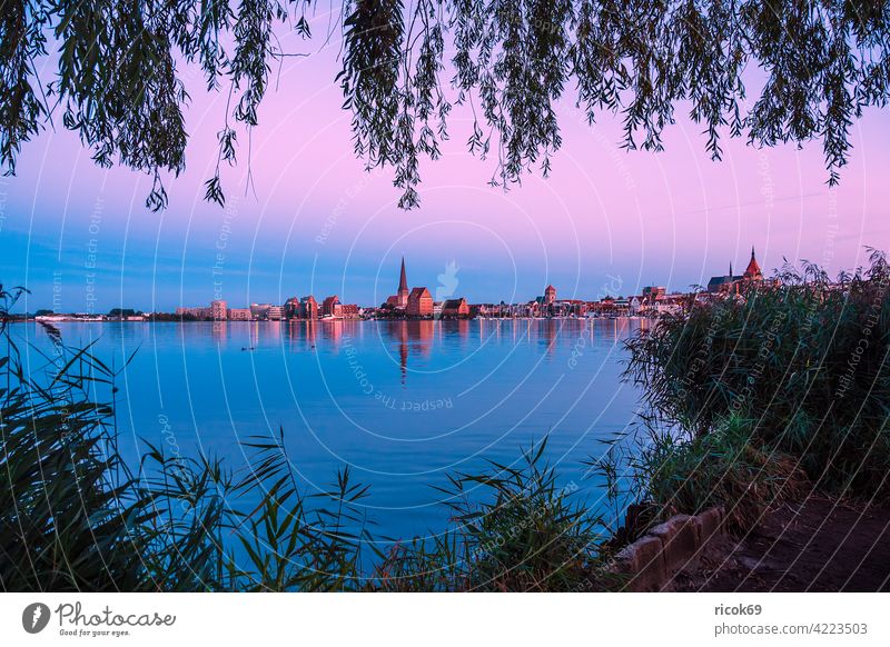 Blick über die Warnow auf die Hansestadt Rostock Fluss Stadthafen Mecklenburg-Vorpommern Schilf Baum Tourismus Architektur Häuser Gebäude Wahrzeichen Kirche