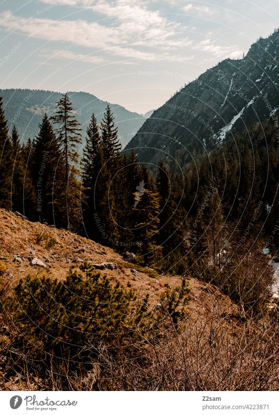 Berglandschaft Oberbayern | Bayrischzell alpenvorland naturverbundenheit outdoor soinsee wandern bayerischzell oberbayern berge frühling wiese grün weg