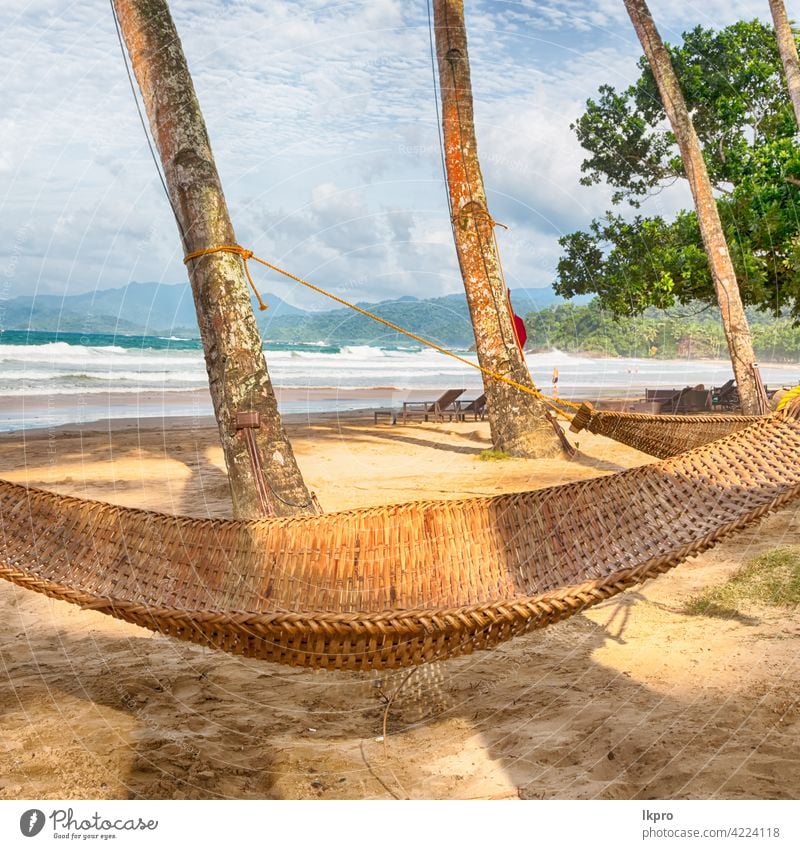 Blick aus einer Hängematte in der Nähe von Ozean Strand tropisch Handfläche reisen Urlaub MEER Meer Paradies Sommer Resort Wasser Insel Sand Landschaft Himmel