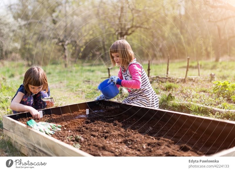 Zwei kleine Mädchen bei der Gartenarbeit im städtischen Gemeinschaftsgarten Bewässerung Gießkanne Wasser städtischer Garten Umweltschonung