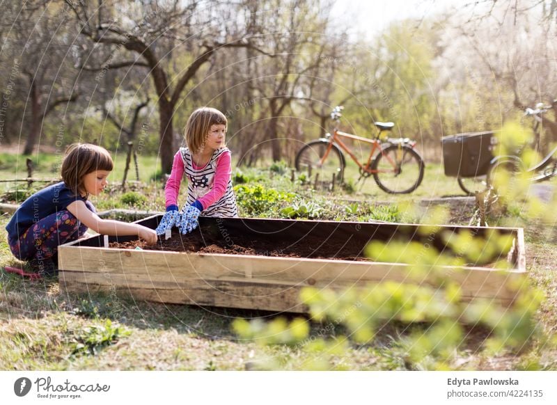 Zwei kleine Mädchen bei der Gartenarbeit im städtischen Gemeinschaftsgarten Bewässerung Gießkanne Wasser städtischer Garten Umweltschonung