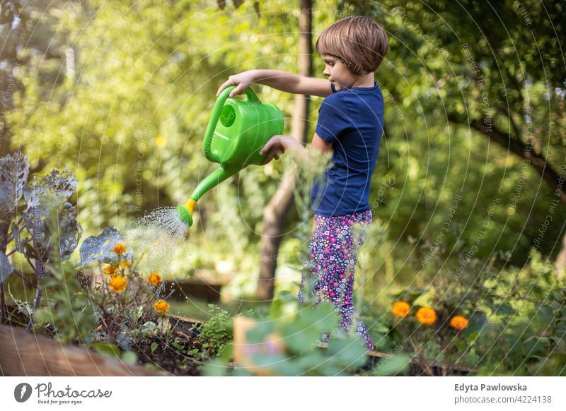 Süßes kleines Mädchen genießen Gartenarbeit in städtischen Gemeinschaftsgarten Bewässerung Gießkanne Wasser städtischer Garten Umweltschonung