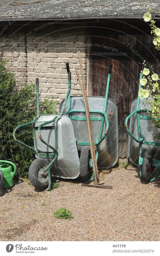 drei Schubkarren, eine Harke, ein Häcker und 2 Gießkannen haben Feierabend Gartengeräte Arbeitserleichterung Gartenschuppen Holztür Stockrose Kiesweg Metall