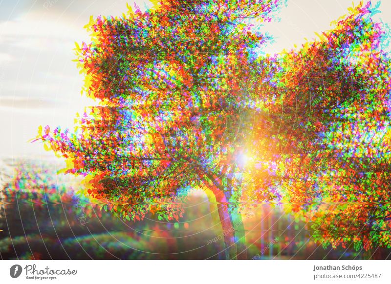 Baum im Garten Glitch Effekt Natur Landschaft Außenaufnahme Menschenleer Umwelt Farbfoto Umweltschutz nachhaltig glitch effect Anaglyph fehler bunt hintergrund