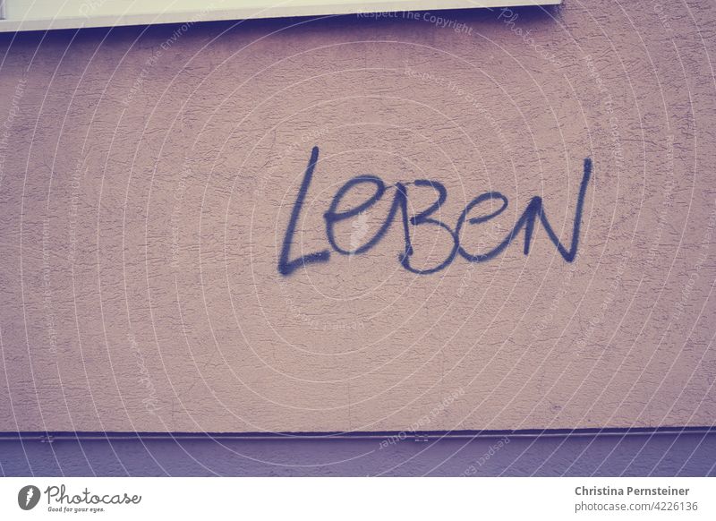 Leben Graffiti Wand Mauer Schriftzeichen Fassade