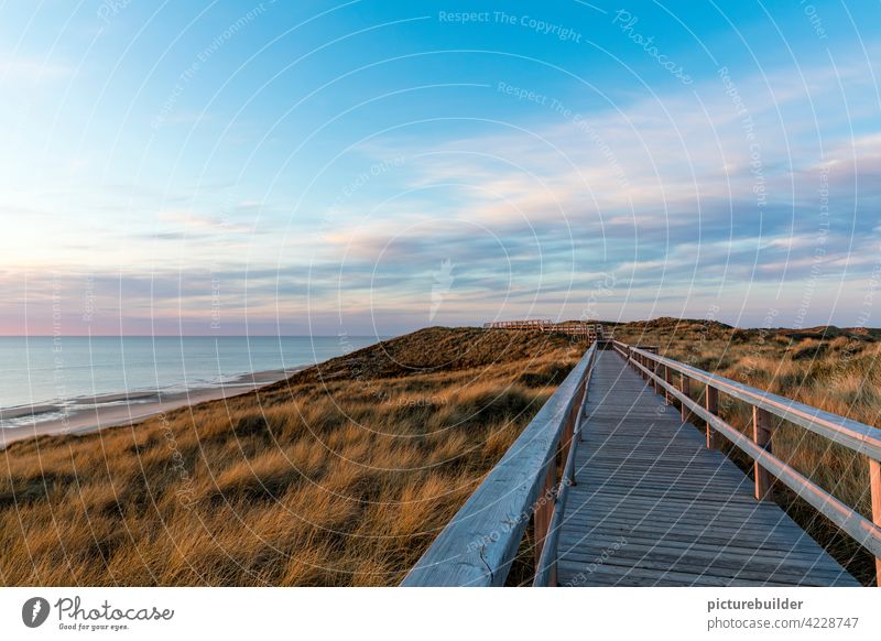 Holzsteg auf den Dünen am Meer Frühling Nordsee Strand Sylt Himmel Wolken Farben Sonnenaufgang Sonnenuntergang Horizont Steg Fluchtpunkt blau Schönes Wetter