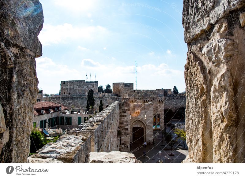 Stadtmauer Jerusalem Palästina Außenaufnahme Farbfoto Ost-Jerusalem Religion & Glaube Wahrzeichen Sehenswürdigkeit Israel Menschenleer Tourismus Städtereise