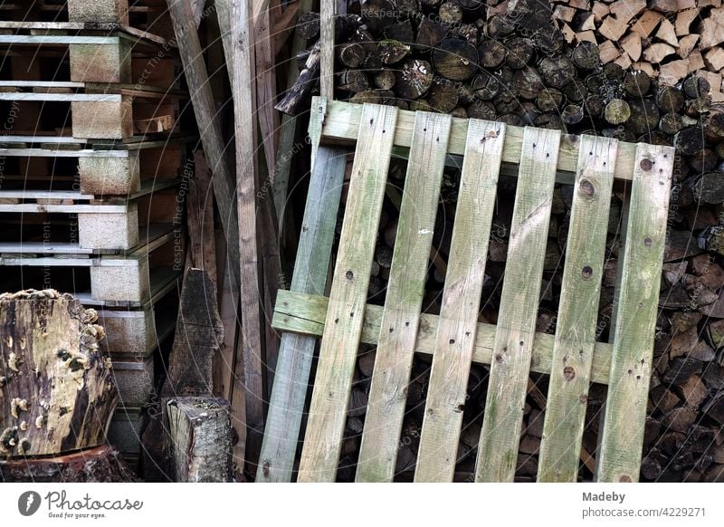 Brennholz für den Winter und alte Holzpaletten zum verheizen vor einem Haus in Oerlinghausen bei Bielefeld im Teutoburger Wald in Ostwestfalen-Lippe Holzvorrat