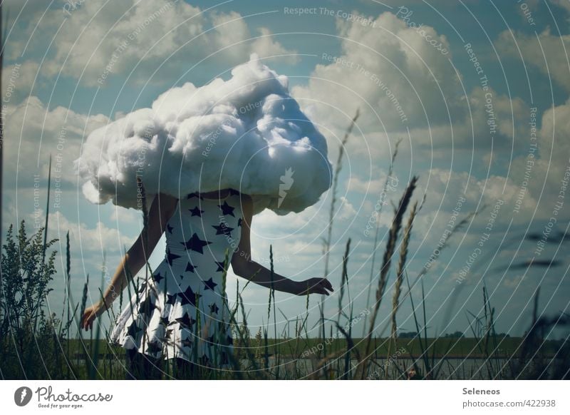 Dreamer harmonisch Zufriedenheit Ausflug Freiheit Mensch feminin Frau Erwachsene 1 Umwelt Natur Landschaft Himmel Wolken Stern Horizont Pflanze Gras Wiese Küste