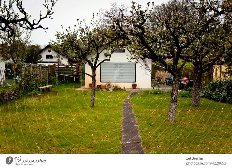 Schrebergarten ast baum erholung erwachen ferien frühjahr frühling frühlingserwachen himmel kleingarten kleingartenkolonie knospe menschenleer natur pflanze