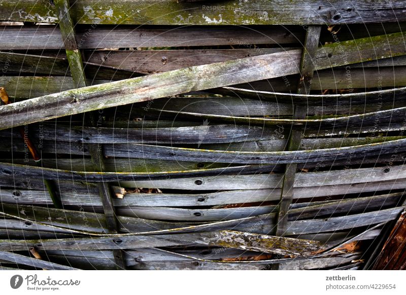 Sichtschutz abend dunkel dämmerung garten kleingarten kleingartenkolonie menschenleer ruhe saison schrebergarten textfreiraum tiefenschärfe nachbarschaft zaun