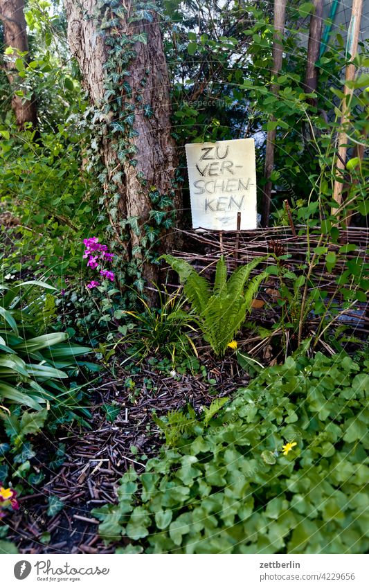 Zu verschenken ast baum erholung erwachen ferien frühjahr frühling frühlingserwachen garten himmel kleingarten kleingartenkolonie knospe menschenleer natur