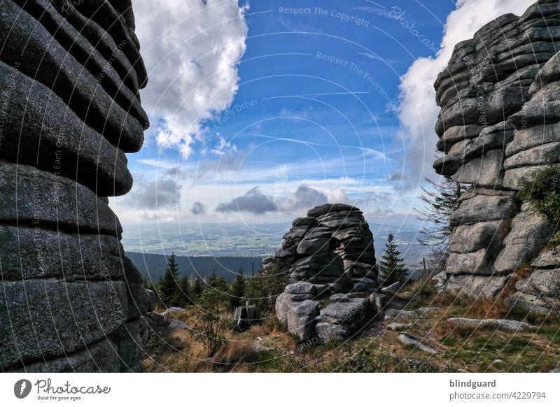 Dreisessel Felsformation Berge Felsen Wald Landschaft Berge u. Gebirge Außenaufnahme Farbfoto Himmel Wolken Baum Menschenleer Umwelt Natur Gipfel Tag