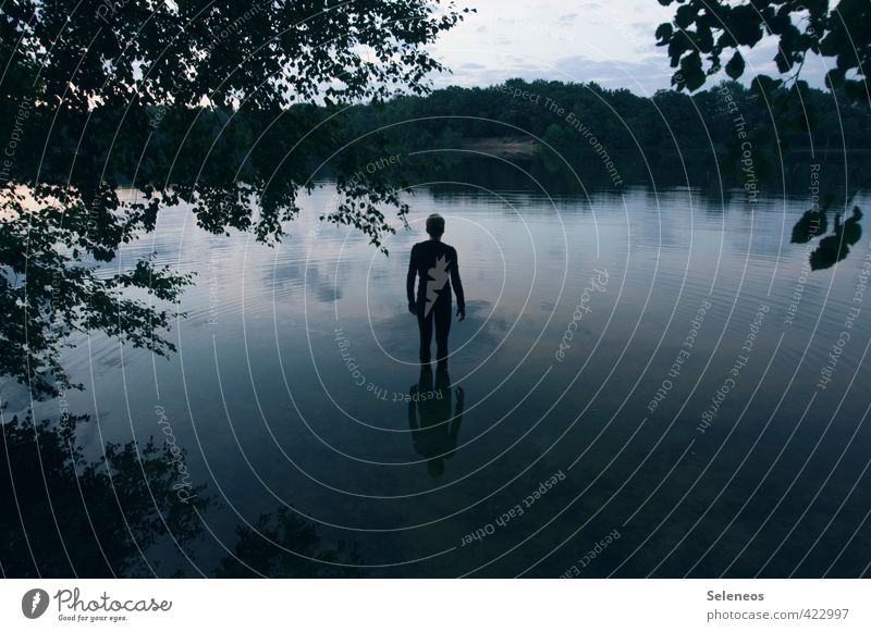 spiegelglatte See Sommer Sonne Sonnenbad maskulin Mann Erwachsene 1 Mensch Umwelt Natur Landschaft Wasser Himmel Horizont Pflanze Baum Blatt Küste Seeufer