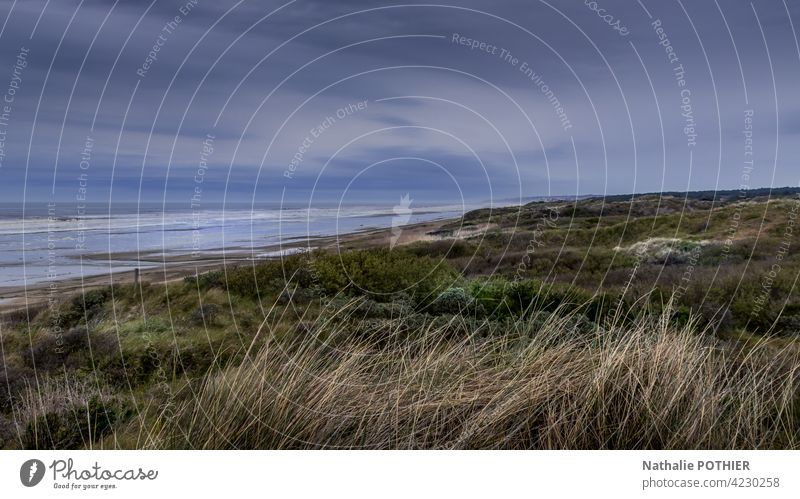 Dünen an der Opalküste in Frankreich Dunes Küste MEER Meer Ufer Küstenlinie Himmel Gras Wildkräuter Natur Meeresufer Landschaft Meereslandschaft malerisch