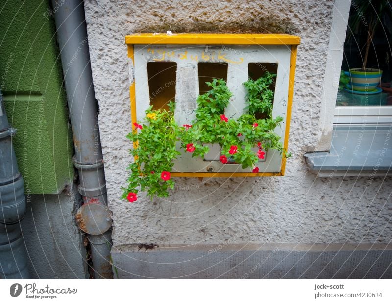 Blumen automatisch sprechen lassen Berlin Kaugummiautomat Streetart Blühend Wachstum verschönern gestalten Idee Straßenkunst Weitwinkel Kreativität